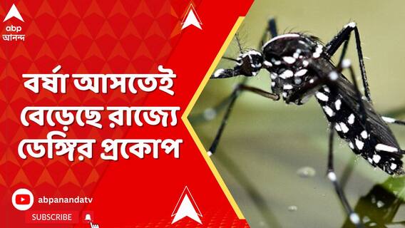 বর্ষা আসতেই বেড়েছে রাজ্যে ডেঙ্গির প্রকোপ | ABP Ananda LIVE