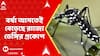 Dengue Increase: বর্ষা আসতেই বেড়েছে রাজ্যে ডেঙ্গির প্রকোপ | ABP Ananda LIVE