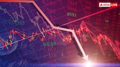 TCS के शेयरों में आई बड़ी गिरावट, अब छंटनी पर कंपनी के CEO ने दिया अपना बयान