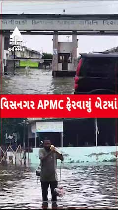 Apmc Visnagar : ભારે વરસાદ બાદ વિસનગર માર્કેટિંગ યાર્ડ ફેરવાયું બેટમાં