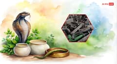 Nag Panchami 2025: नाग पंचमी पर क्यों नहीं करते लोहे की चीजों का इस्तेमाल, जानें क्या है कारण