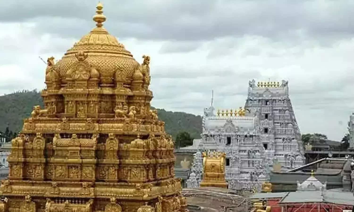 Tirupati: திருப்பதியில் ஈஸியா சாமி கும்பிடனுமா? இனிமே இதை ஃபாலோ பண்ணுங்க..!