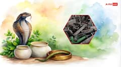 નાગ પંચમી 2025: આ દિવસે લોખંડની વસ્તુઓનો ઉપયોગ કેમ ટાળવો? જાણો ધાર્મિક અને જ્યોતિષીય રહસ્યો