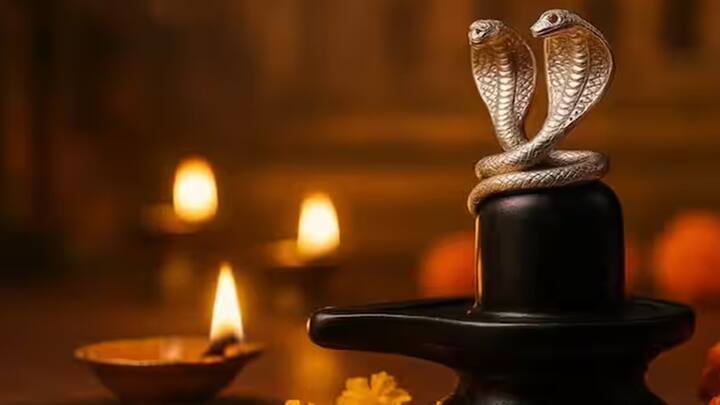 Shravan 2025: શ્રાવણ મહિનામાં ચાંદીના નાગ-નાગિનની જોડી ખરીદવી શુભ માનવામાં આવે છે. ધાર્મિક અને જ્યોતિષીય માન્યતાઓ તેની સાથે જોડાયેલી છે. ચાલો જાણીએ ચાંદીના નાગ-નાગિનની જોડી ખરીદવાના ફાયદા અને મહત્વ