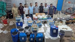 मुंबई पुलिस की बड़ी कार्रवाई, मैसूर से बरामद किया 390 करोड़ रुपये का ड्रग्स