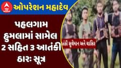 Operation Mahadev : પહલગામ હુમલામાં સામેલ 2 સહિત 3 આતંકી ઠારઃ સૂત્ર