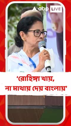 রোহিঙ্গা খায়, না মাথায় দেয় বাংলায়: মমতা