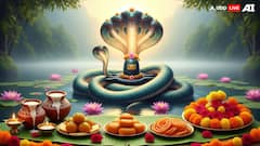 Nag Panchami 2025 — Why You Should Not Use Iron Or Iron Utensils On This Day