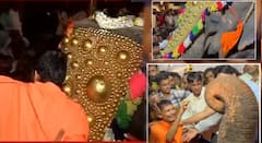 घेतो निरोप आता आज्ञा असावी! महादेवी हत्तीणीला निरोप देताना नांदणीकरांच्या डोळ्यातून अश्रूच्या धारा, 33 वर्षांची नाळ कायमची तुटली