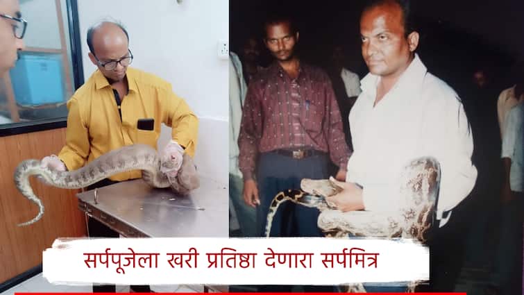 ‘शेवटचा श्वास सापाला वाचवताना घ्यायचाय’,20 हजार सापांना जीवदान देणाऱ्य सर्पमित्राची कहाणी वाचाच ‘शेवटचा श्वास सापाला वाचवताना घ्यायचाय’,20 हजार सापांना जीवदान देणाऱ्य सर्पमित्राची कहाणी वाचाच