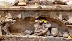 औरैया: दसवीं शताब्दी का अभिशापित नाग मंदिर, छत डालने वाले की मौत तय,151 मंदिर-151 कुंओं का रहस्य