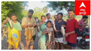 மதுரையில் மீன்பிடி திருவிழா, நாட்டு வகை மீன்கள் வேட்டை ; பாரம்பரியம் காக்கும் கொண்டாட்டம்!