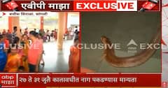 Nag Panchami 2025: 23 वर्षांनंतर सांगलीमधील बत्तीस शिराळ्याच्या मंदिरात जिवंत नागाचे दर्शन, PHOTO