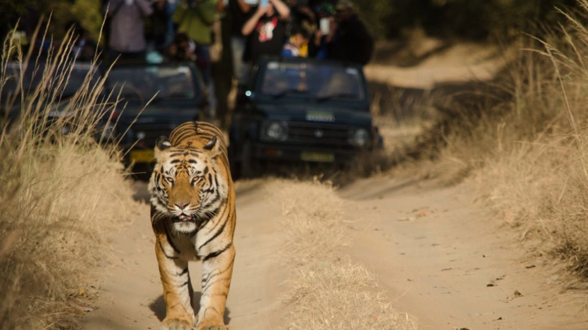 (Image Source: Twitter/@incredibleindia)