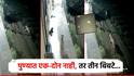 पुण्यात एक-दोन नाही, तर 3 बिबट्या; एका मागून एकाचा मुक्त संचार, सीसीटीव्हीत घटना कैद