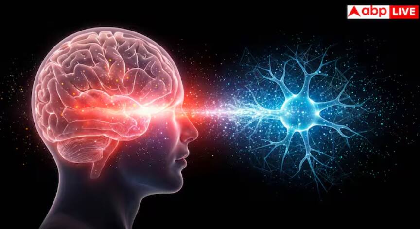 monsoon-alert-rising-risk-of-neurocysticercosis-what-it-is-and-how-to-stay-safe ਬਰਸਾਤ ਦੇ ਮੌਸਮ ‘ਚ ਦਿਮਾਗ ਡੈਮੇਜ ਕਰ ਦਿੰਦਾ ਆਹ ਕੀੜਾ, ਜਾਣੋ ਇਸ ਦੇ ਲੱਛਣ ਅਤੇ ਬਚਾਅ