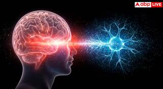 ਬਰਸਾਤ ਦੇ ਮੌਸਮ ‘ਚ ਦਿਮਾਗ ਡੈਮੇਜ ਕਰ ਦਿੰਦਾ ਆਹ ਕੀੜਾ, ਜਾਣੋ ਇਸ ਦੇ ਲੱਛਣ ਅਤੇ ਬਚਾਅ