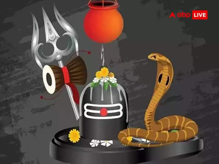 Along with this, Nag Panchami has an opportunity for mental peace and self -purification. According to the scriptures, the serpents are said to be revered as the deity. Poisonous thoughts like fear, anger, jealousy are also removed from the worship of serpents.