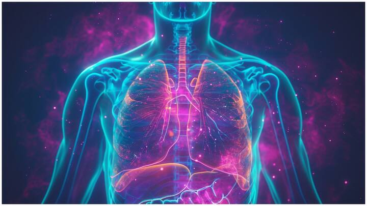 Lung Cancer Last Stage Symptoms : ఊపిరితిత్తుల క్యాన్సర్ చివరి దశలో ఉన్నప్పుడు శరీరంలో కొన్ని లక్షణాలు కనిపిస్తాయి. వాటిని గుర్తించడం ఎందుకు ముఖ్యమో ఇప్పుడు తెలుసుకుందాం.