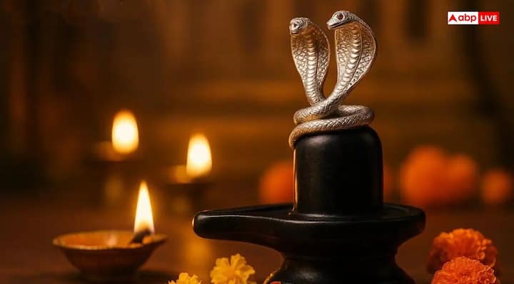 According to the legend, the festival of Nag Panchami is celebrated in honor of the Nagas since the protecting the life of the serpents by the believer sage.