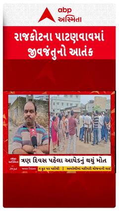 Rajkot News: રાજકોટના પાટણવાવમાં જીવજંતુનો આતંક