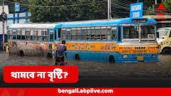 টানা বর্ষণ, দোসর বজ্রপাত, ঝোড়ো হাওয়া, আজ দিনভর দুর্যোগ শঙ্কা এই জেলাগুলিতে, কবে থামবে বৃষ্টি?