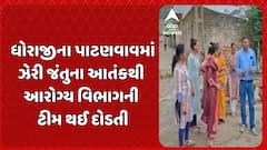 Dhoraji News : ધોરાજીના પાટણવાવમાં ઝેરી જંતુના આતંકથી આરોગ્ય વિભાગની ટીમ થઈ દોડતી