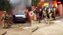 जलते हुए घर में अपने कुत्ते को बचाने घुस गया शख्स, उसके बाद जो हुए डरा देगा- वीडियो वायरल