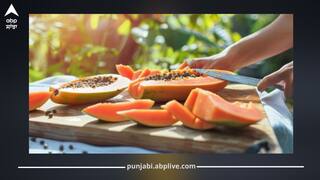 ਰੋਜ਼ ਸਵੇਰੇ ਖਾਲੀ ਪੇਟ ਖਾਓ ਇਹ ਫਾਈਬਰ ਭਰਪੂਰ ਫਲ, ਜਿਗਰ ਦੀ ਗੰਦਗੀ ਹੋਵੇਗੀ ਦੂਰ, ਪਾਚਣ ਸਿਸਟਮ ਸੁਧਰੇਗਾ