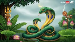 Nag Panchami 2025 — Know Rituals, Mythological Significance, Kal Sarp Dosh Remedies, And More