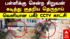 Dog Bite School Children |Dog Bite School Children |பள்ளிக்கு சென்ற சிறுவன் கடித்து குதறிய தெருநாய் வெளியான பகீர் CCTVகாட்சி