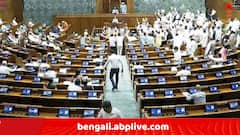 'বাংলা একটা বিশেষ রাজ্য, যেখানে আইনের শাসন চলে না' ! সংসদে কেন্দ্রীয় মন্ত্রীর আক্রমণের প্রতিবাদে তৃণমূল