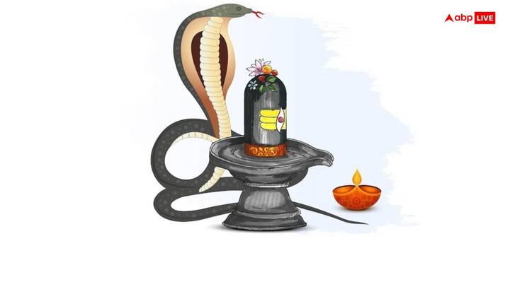 Nag Panchami 2025: नाग पंचमी का पावन दिन केवल नागों की पूजा ही नहीं, बल्कि यह पर्व विषैले विचारों को दूर करने का अवसर भी है. इस दिन किए पूजा और उपायों से जीवन में सकारात्मकता का आगमन होता है.