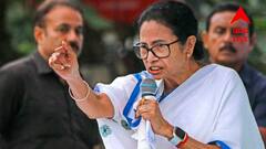 বিদ্যাসাগরের প্রয়াণ দিবসে বাঙালি আবেগে শান, বিজেপিকে নিশানা মুখ্যমন্ত্রীর