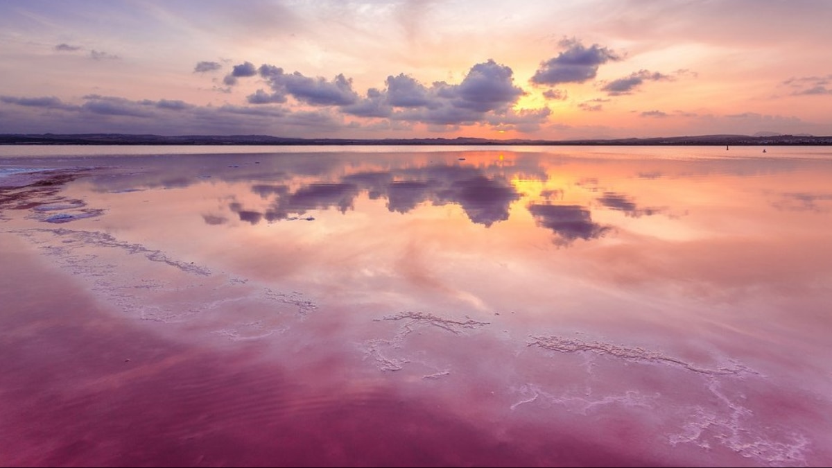 (Image Source: Twitter/@CultureTrip)
