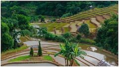 ఓ వైపు వరి సాగు అదే పంటలో చేపల పెంపకం.. 60 ఏళ్లుగా లాభాలు అర్జిస్తోన్న అపతాని తెగ