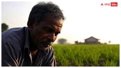 PM Kisan Yojana And Annadata Sukhibhav 2025: రైతులకు గుడ్‌ న్యూస్- ఆగస్టు 2న అన్నదాత సుఖీభవ-పియం కిసాన్ నిధులు జమ!