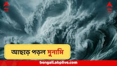 আশঙ্কা হল সত্যি! রাক্ষুসে ঢেউ পড়ল আছড়ে, শুরু সুনামির তাণ্ডব, সঙ্কটে লক্ষ লক্ষ মানুষ