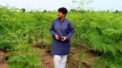 Nituben Patel: ਦੇਸ਼ ਦੀ ਸਭ ਤੋਂ ਅਮੀਰ ਕਿਸਾਨ! ਜਾਦੂਈ ਮਿੱਟੀ ਤੋਂ ਬਣਾਈ 100,00,00,00,000 ਦੀ ਦੌਲਤ 