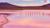 These 6 Pink Lakes Around The World Look Too Magical To Be Real