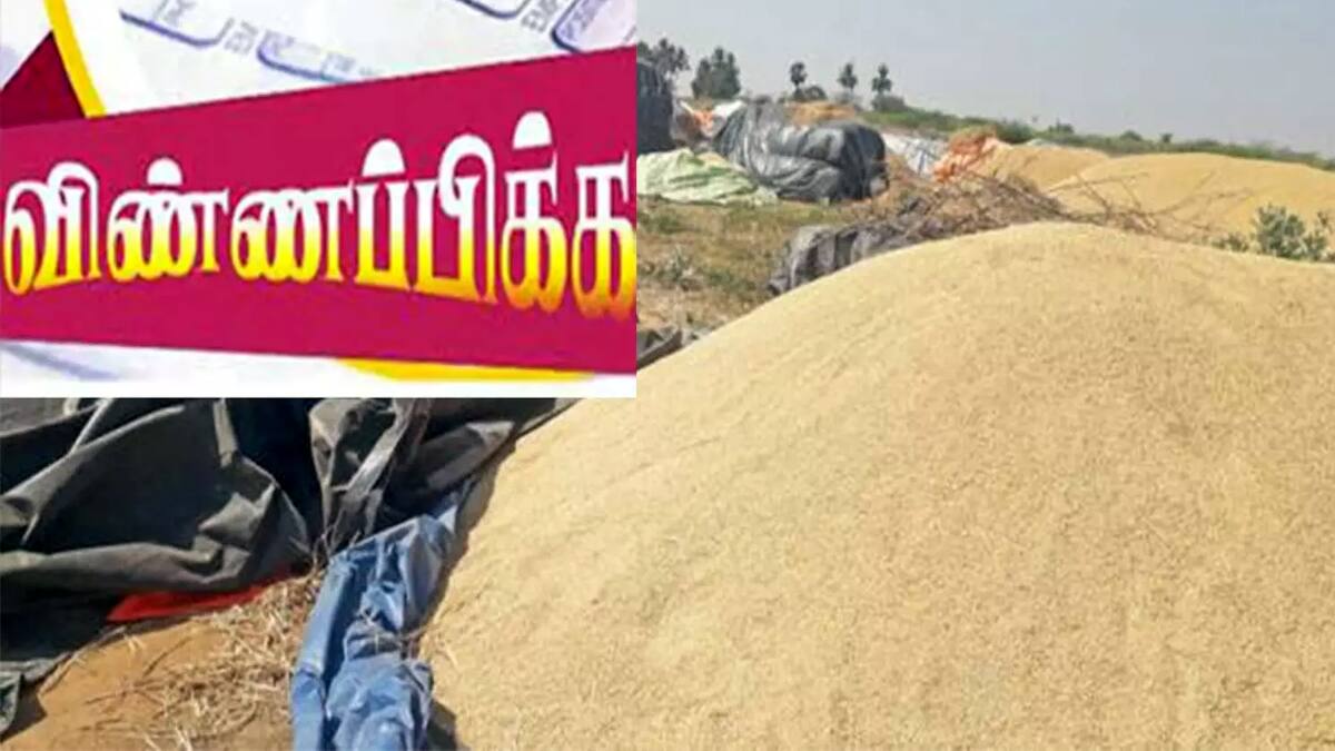 தூத்துக்குடி: 300 அரசு வேலைகள்! உடனே விண்ணப்பியுங்கள்!  நாளையே கடைசி தேதி