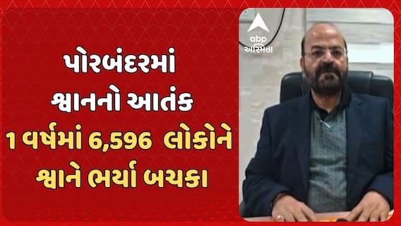 Porbandar News: પોરબંદર શહેર અને ગ્રામ્યમાં શ્વાનનો આતંક