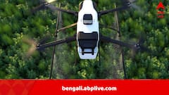 ড্রোনের মাধ্যমে মশা ছাড়া হচ্ছে হাওয়াই দ্বীপপুঞ্জের জঙ্গলে, পরিবেশের ভারসাম্য রক্ষার্থেই না কি!