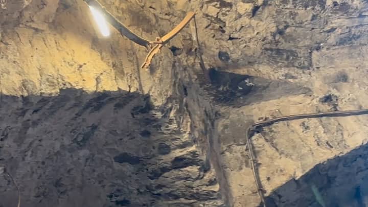 देवीच्या सिंहाच्या गाभाऱ्यातील जीर्णोद्धाराच्या कामासाठी दर्शन बंद करण्यात येणार आहे. कारण, पुरातत्व खात्याकडून येथे काम सुरू करण्यात आलं आहे.