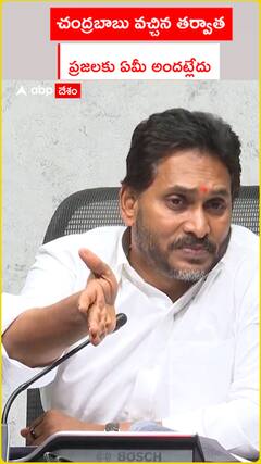 Jagan about Chandrababu's Government