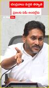 Jagan about Chandrababu's Government