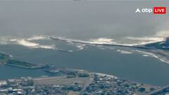 सुनामी के कारण तट के किनारे आ गईं व्हेल, सामने आया VIDEO, जापान में कई लोगों को किया गया रेस्क्यू