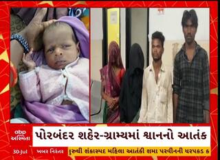 Porbandar News: પોરબંદર શહેર અને ગ્રામ્યમાં શ્વાનનો આતંક