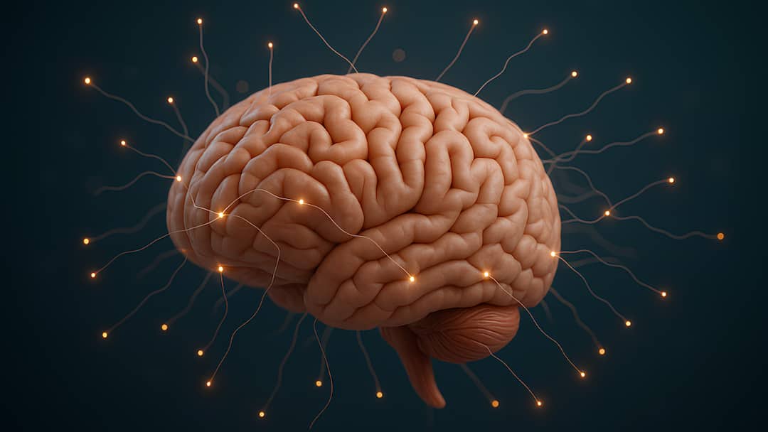 daily-habits-affecting-brain-health-unknown-facts These 6 Everyday Habits Could Be Harming Your Brain Without You Realising