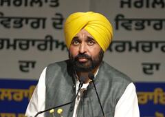 ਮਾਨ ਸਰਕਾਰ ਦਾ ਇੱਕ ਹੋਰ ਤੋਹਫ਼ਾ ! ਜੰਗਲਾਤ ਵਿਭਾਗ ਦੇ 942 ਕਰਮਚਾਰੀਆਂ ਨੂੰ ਸੌਂਪੇ ਨਿਯੁਕਤੀ ਪੱਤਰ